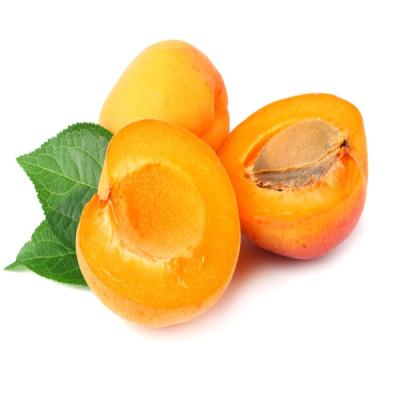 Apricots- Dried orange